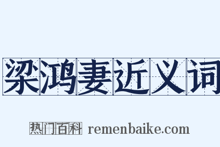 梁鸿妻近义词是什么意思的图片